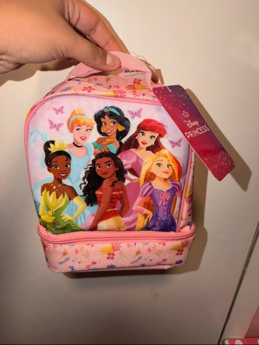 Disney Princess Pink and Pastel Character Lunch Tote